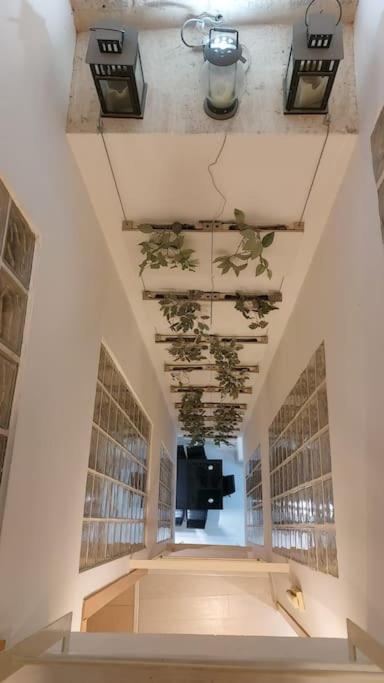 Luxury Complete Building In The Heart Of Sevilla Exteriör bild