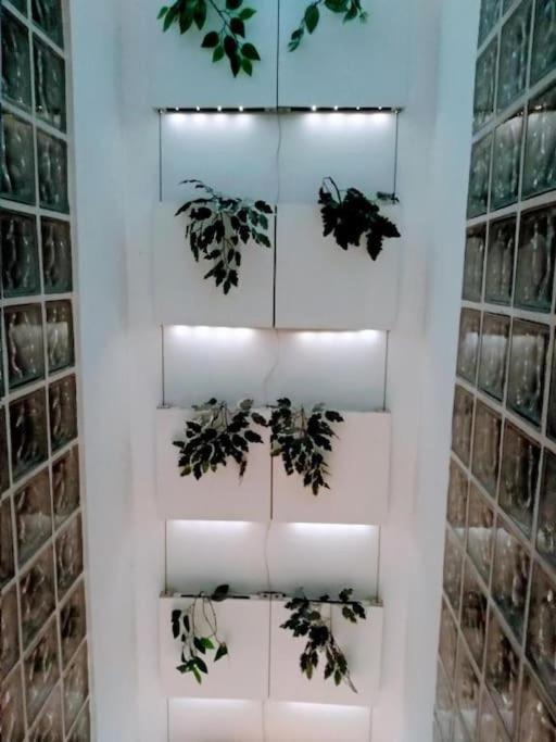 Luxury Complete Building In The Heart Of Sevilla Exteriör bild